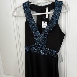 Dress the population formal dress nwt